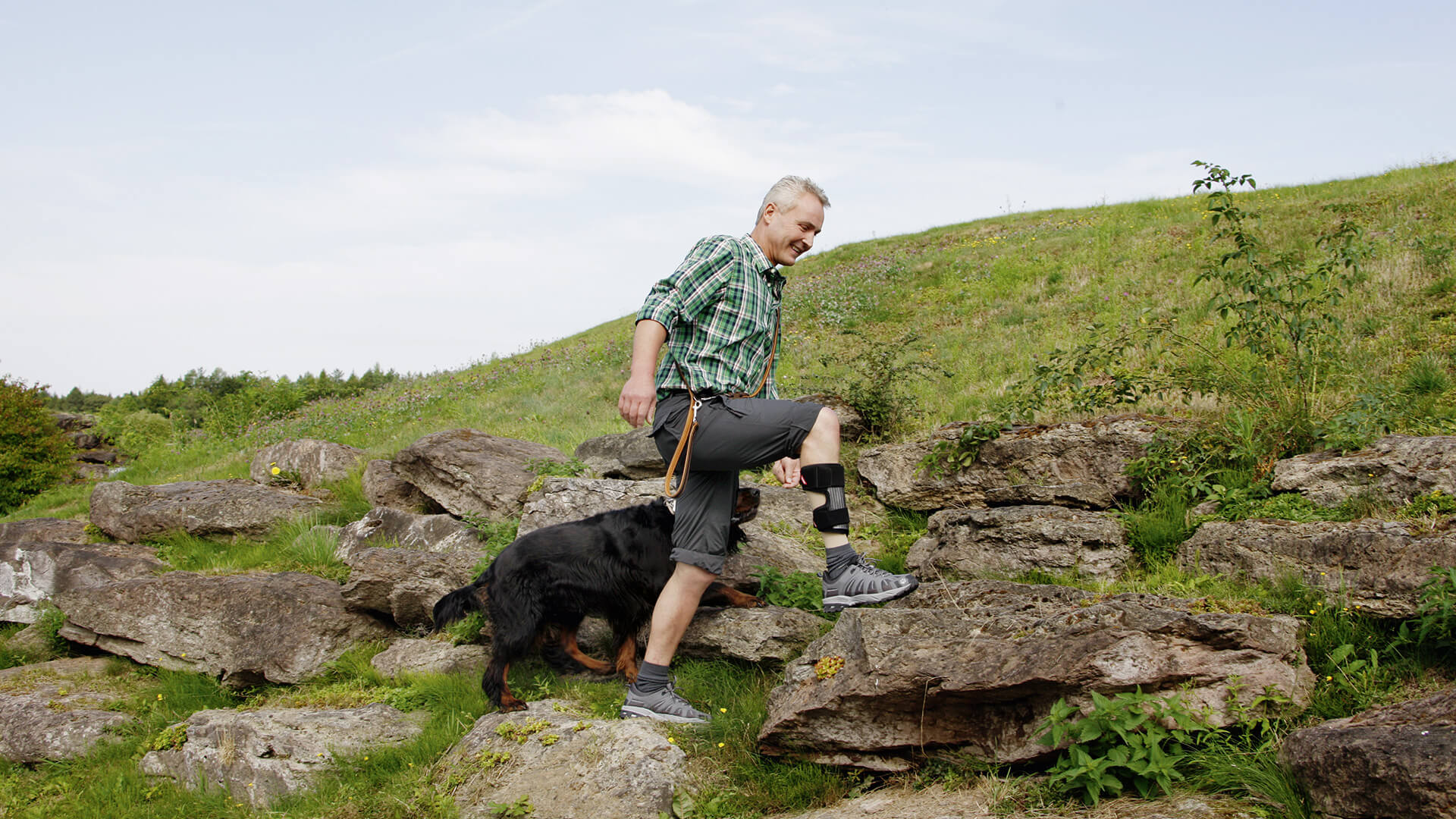 33556 D3 328361 169 4c 1